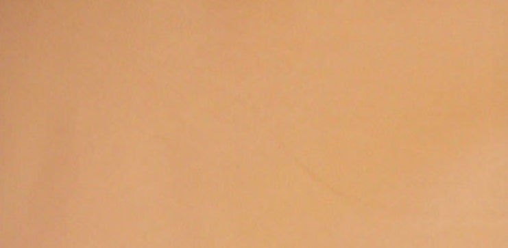 macam-macam warna coklat