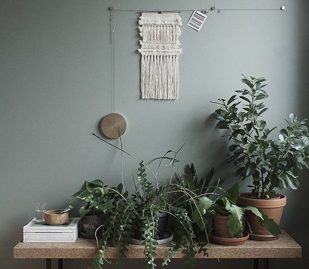 Warna Cat Taman Indoor