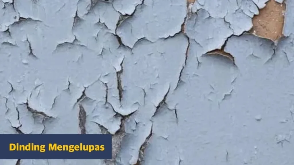 Mengecat Rumah Kembali