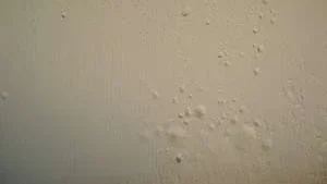 pengecatan waterproof