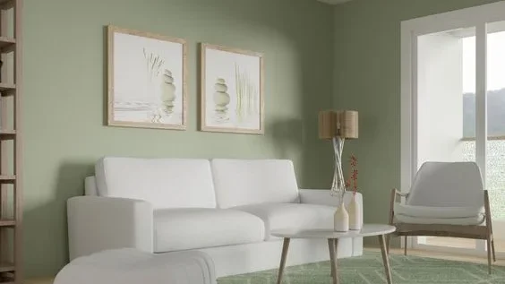 pilihan warna pengecatan
