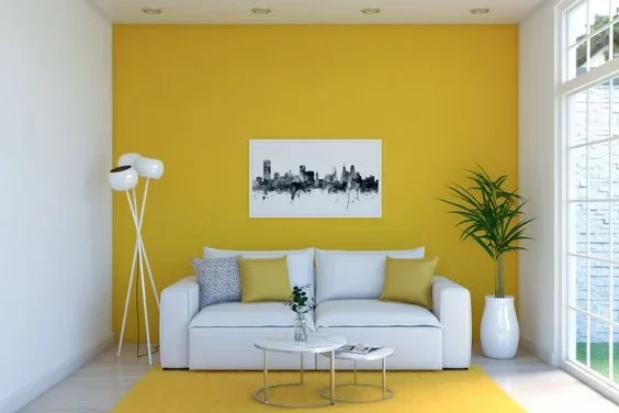 Estetika Warna