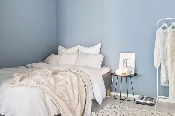 Jasa Cat Profesional