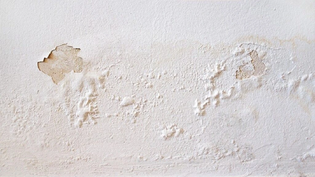 Kesalahan Pengecatan Dinding