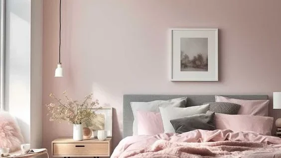 Jasa Cat Profesional