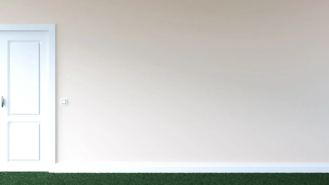 Warna Cat Karpet Hijau