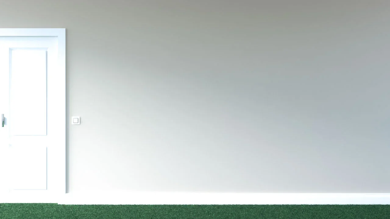 Warna Cat Karpet Hijau