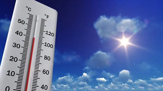 Cat Semi-Gloss Eksterior