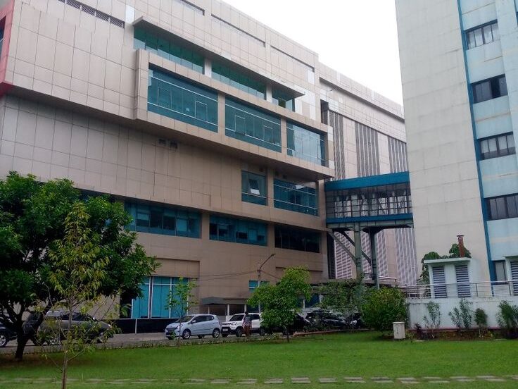 Keuntungan Cat Anti-Jamur