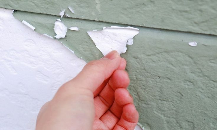 Cat Rumah Mengelupas? Ini Rahasia Mengatasinya dengan Tepat!