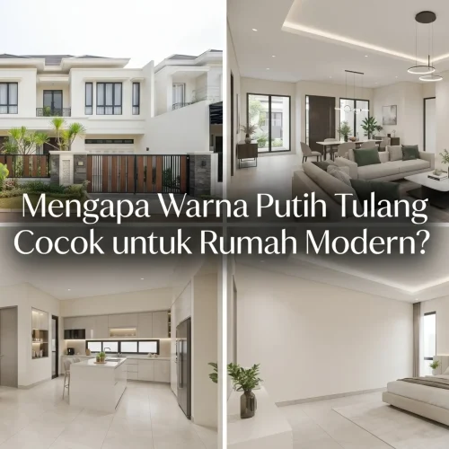 Mengapa Warna Putih Tulang Cocok untuk Rumah Modern?
