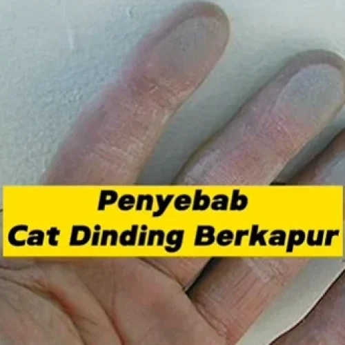Penyebab Cat Dinding Berkapur: Mengapa Hal Ini Terjadi?