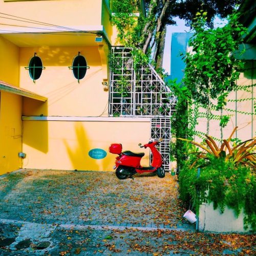 Kombinasi Cat Warna Kuning dan Hijau yang Menarik untuk Dicoba
